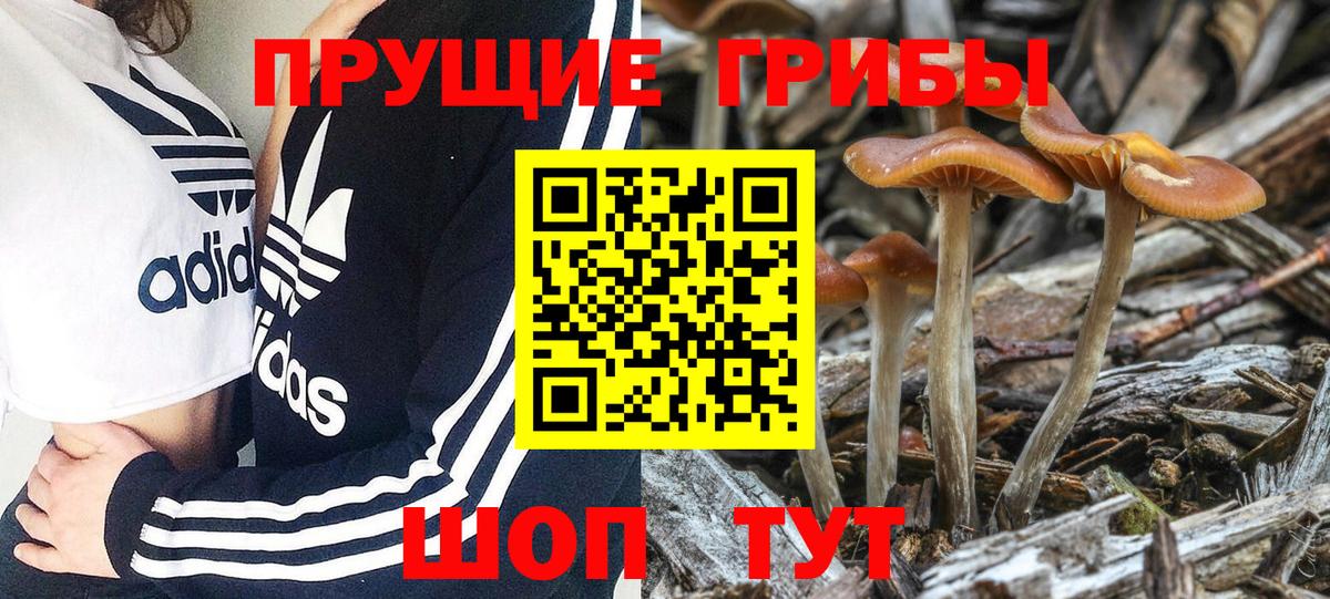 Печора  Псилоцибиновые грибы мицелий  дарнет шоп  Вход с VPN 